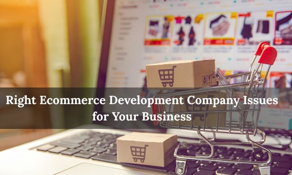 Right Ecommerce Development Company Issues for Your Business